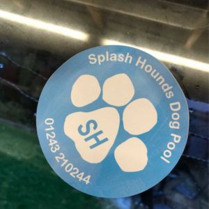 window cling sticker