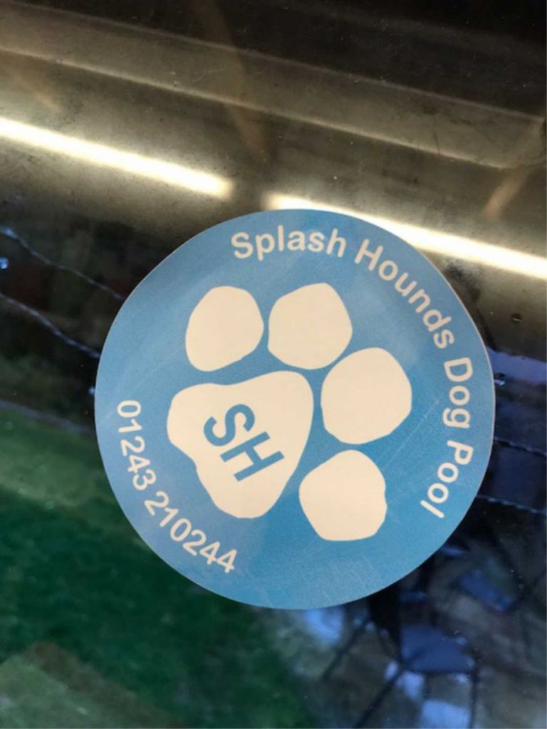 window cling sticker