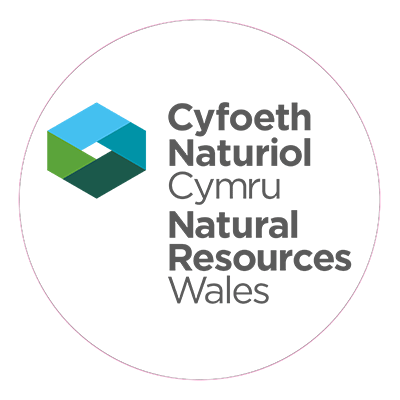 natural resources wales logo