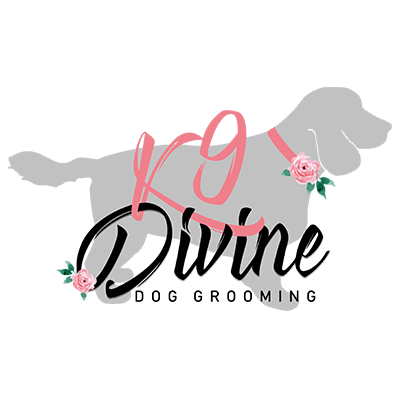 Diving dog grooming logo