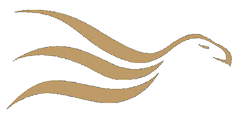 the nicolas hamond academy logo