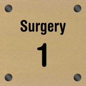 BRONZE ICON SURGERY 1