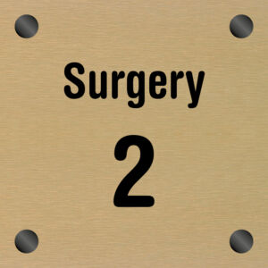 BRONZE ICON SURGERY 2