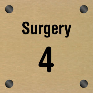 BRONZE ICON SURGERY 4