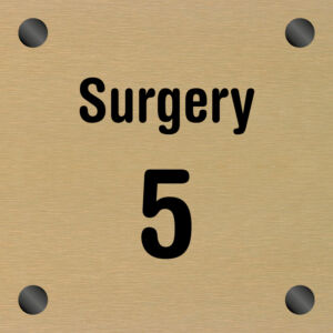 BRONZE ICON SURGERY 5