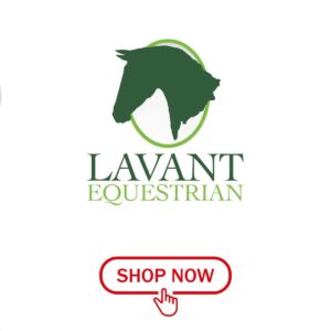 Lavant Equestrian