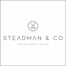 Steadman Co