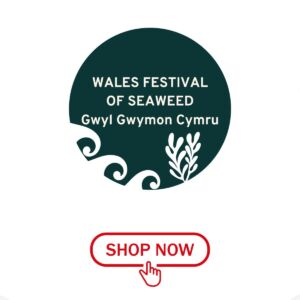 Wales Festival of Seaweed