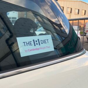 Window Cling