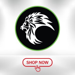 Pride Kickboxing