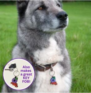 Animals in War badge for Pet Plan Charitable Trust